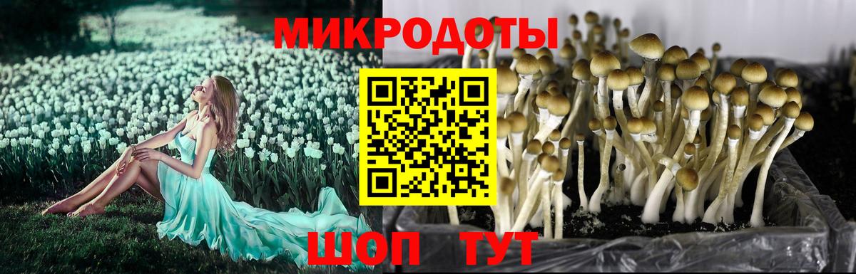 Галлюциногенные грибы мицелий  Вход с VPN  Долгопрудный 