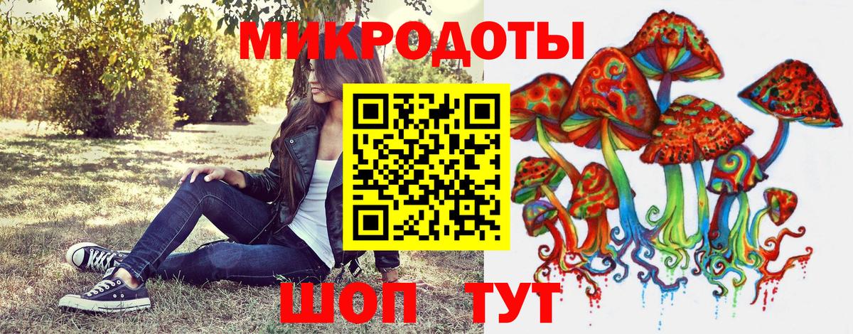 Псилоцибиновые грибы Cubensis Долгопрудный