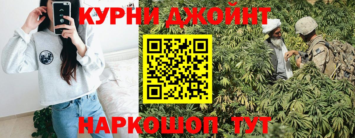 Бошки Шишки планчик Долгопрудный